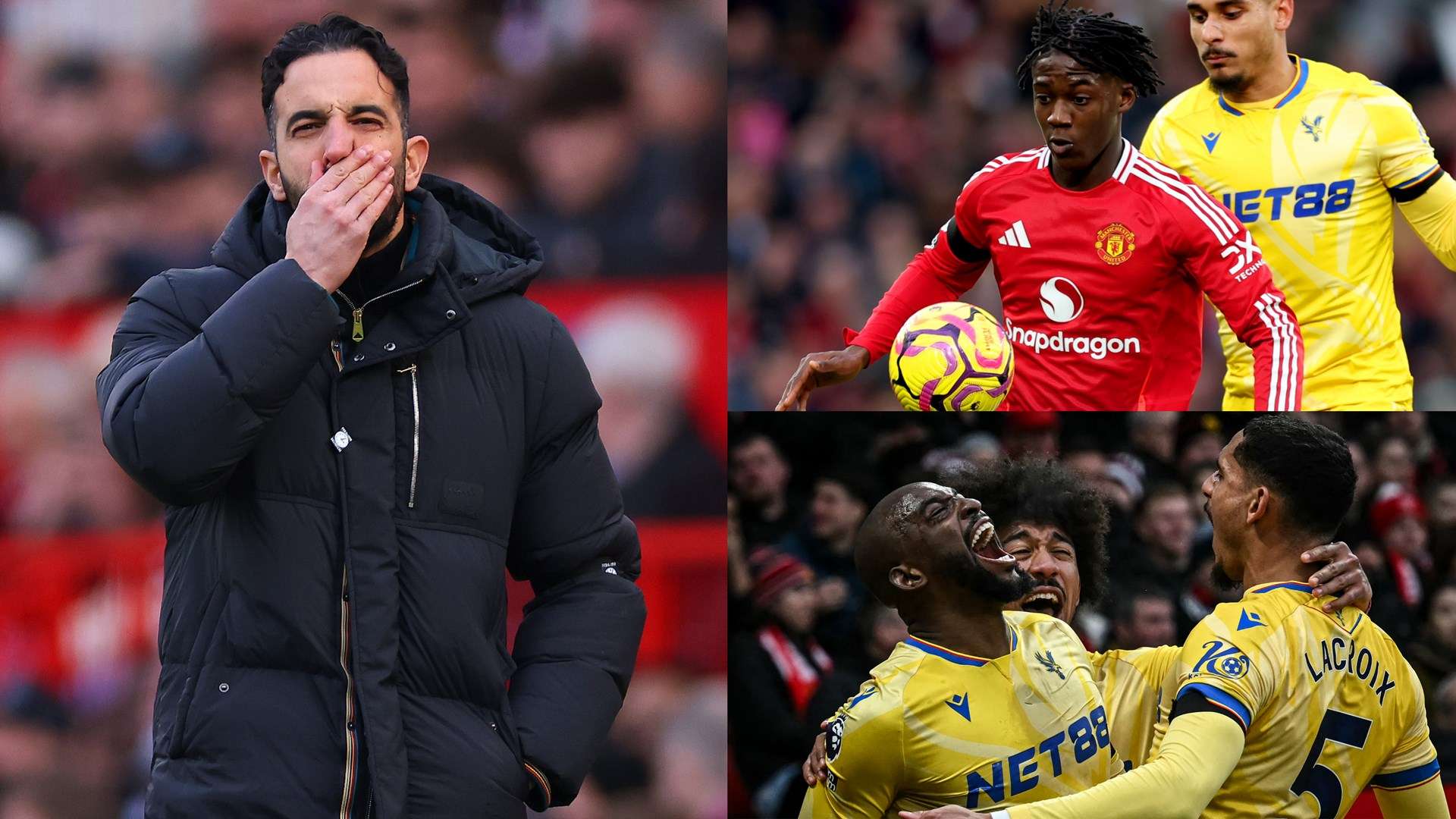 的公布以及 的公布以及